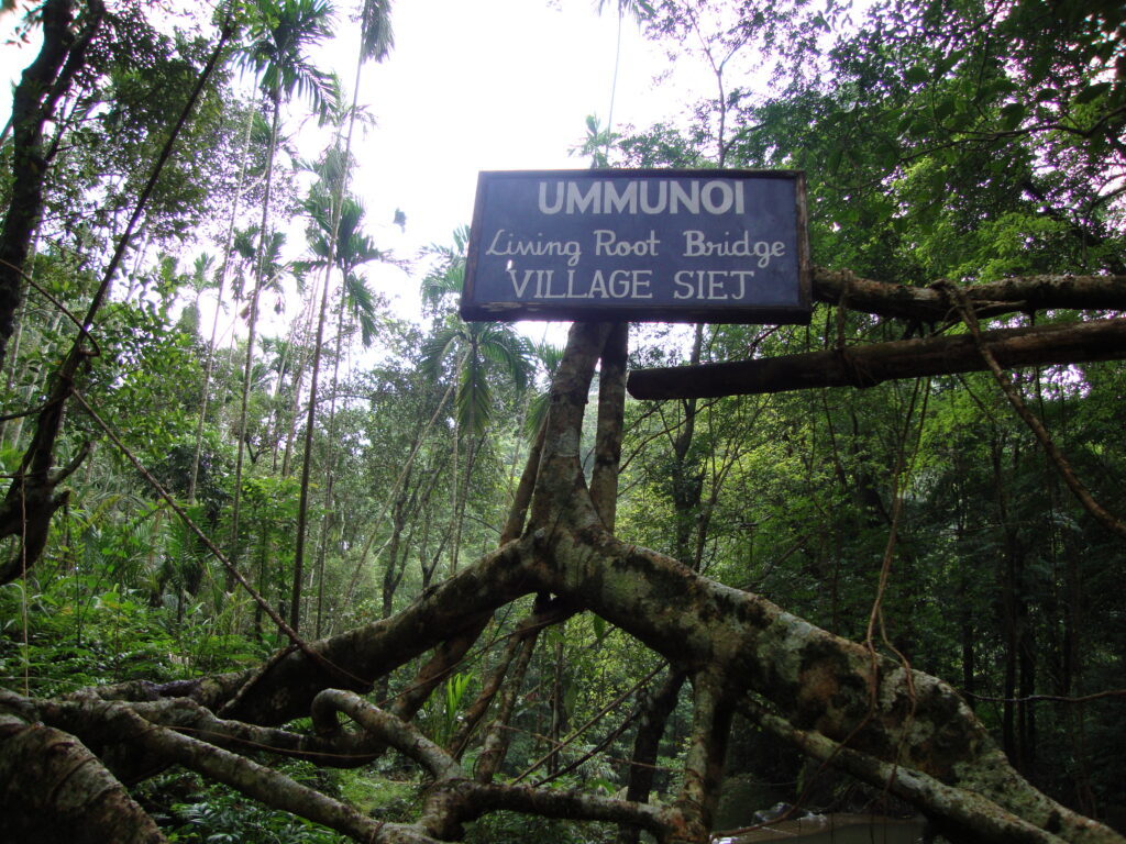 Ummunoi root bridge Shillong