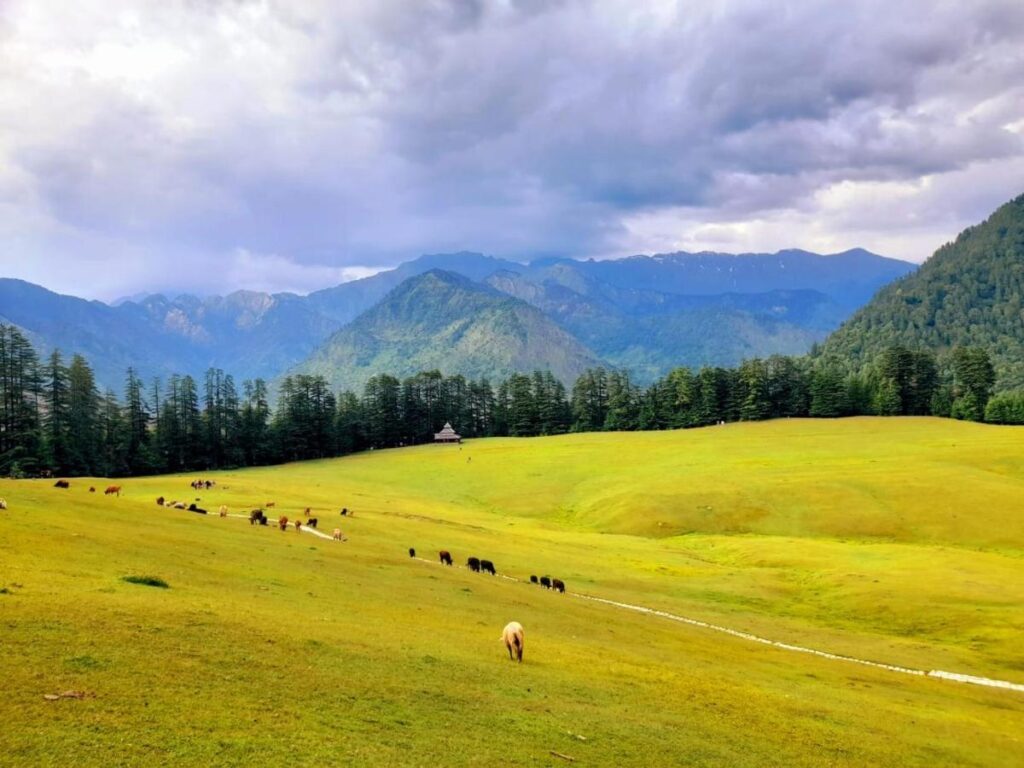 Sangarh Meadows 