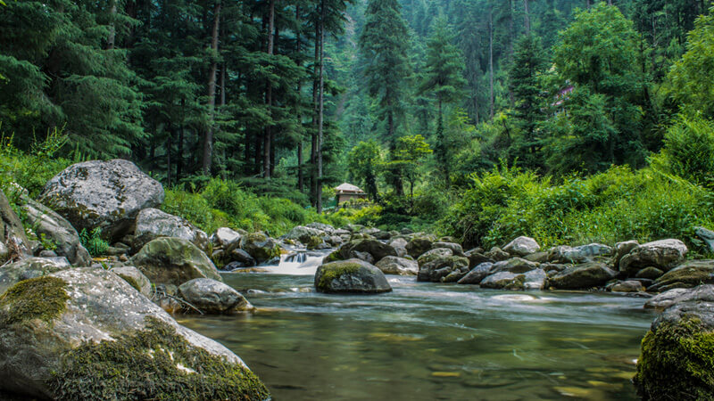 Pristine Jibhi 