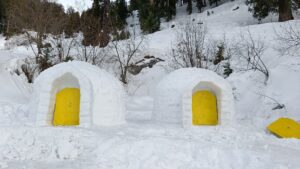 igloo stay in manali